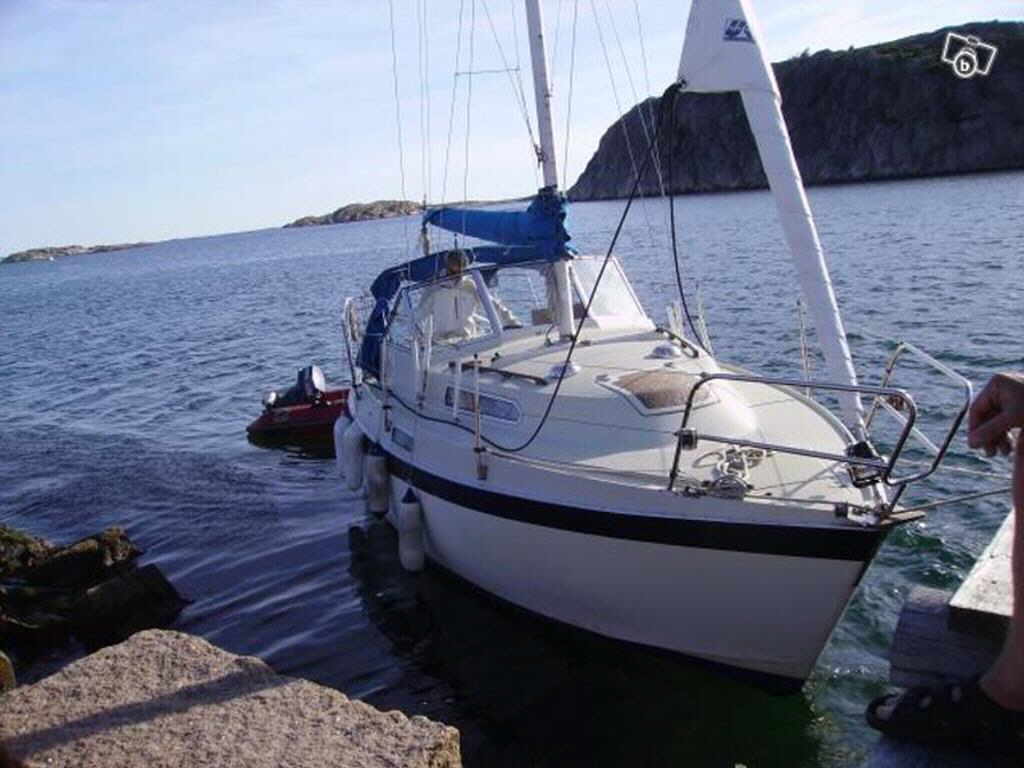 Albin 82 ms for sale